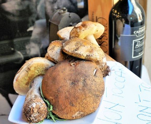 Truffle White Madonna