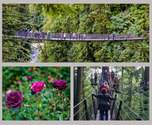 Gorgeous Gardens … Suspension Bridge … Treetop Walks …