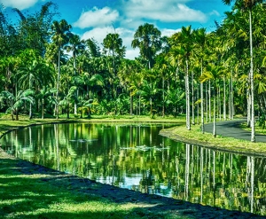 Botanical Gardens … Waterfall … Red Earth …